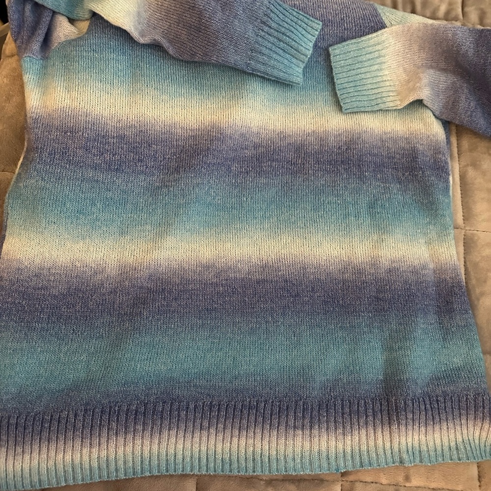 Belle by Kim Gravel hooded sweater